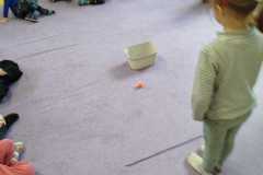 IMG-20251128-WA0005