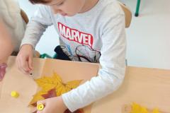 IMG_20251015_1027058152 IMG_20251015_1027058152