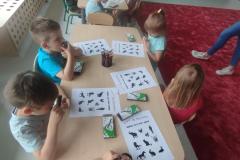 IMG_20250617_094618