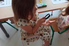 img_20250617_113929110