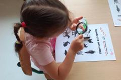 img_20250617_113934792