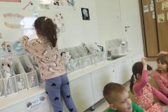 inbound6653651584213852104