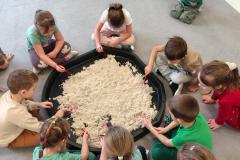 IMG_20260226_095331087_HDR