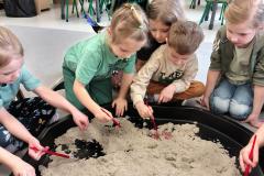 IMG_20260226_095340874_HDR