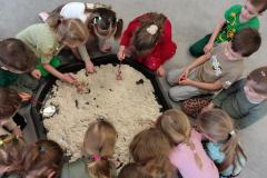 IMG_20260226_095658752_HDR