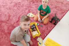 IMG-20260227-WA0002