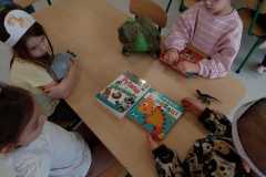 IMG-20260227-WA0003
