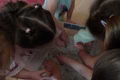 IMG-20260227-WA0008
