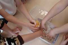 IMG-20260227-WA0010