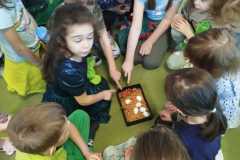 inbound4302342601068685242