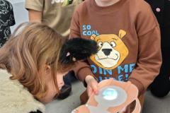 IMG_20260217_145329190_HDR