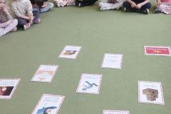 inbound3133688311138948450