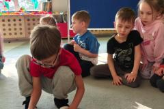 IMG_20260312_145308022_HDR