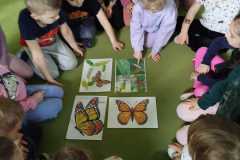 inbound7202611725818545973