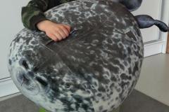 IMG_20260220_125552578_HDR