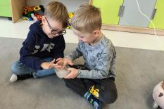 IMG_20251009_092630313_HDR