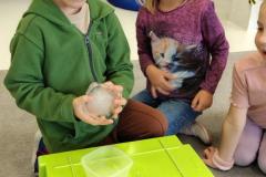 IMG_20251009_092717830_HDR