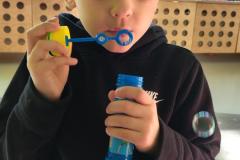 IMG_20260306_143058961_HDR