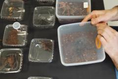 IMG_20250123_130131