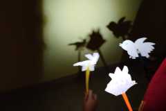 Zdjecia-projekt-1-19