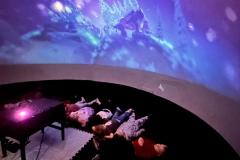 5a4ed9b4-c888-419c-9c1b-23b4c19f3bde