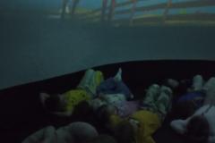 inbound2963099623005696103