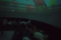 inbound362952792644184193