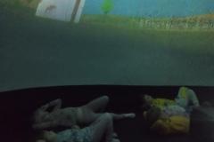 inbound5840255765297358360