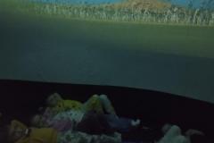 inbound6591673752960888332