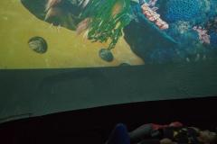 IMG_20260220_120638869_HDR