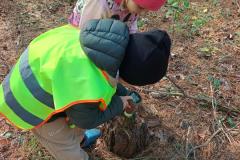 Leśne przygody Przedszkolaków