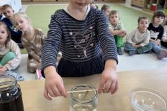 IMG_2136
