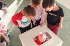 IMG_20250212_1445020852