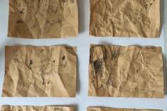 IMG_20260227_104806442_HDR