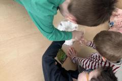 IMG_1127