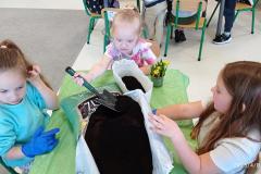 IMG_20250408_093950