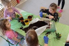 IMG_20250408_094551