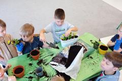 IMG_20250408_095024