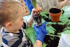 IMG_20250408_095309