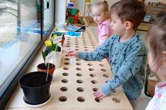 IMG_20250409_074450