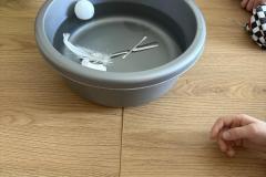 IMG_8901