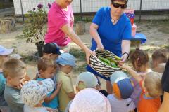 IMG_20240920_103857