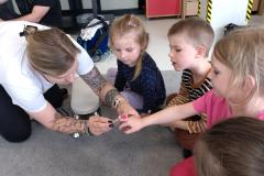 IMG_20250523_130136262