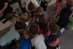 IMG_20250523_130535893
