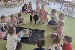 inbound7906587469666688996