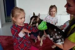 IMG_20250326_095234
