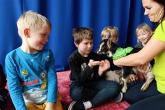 IMG_20250326_095344