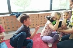 IMG_20250326_095418