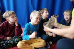 IMG_20250326_100442
