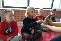 IMG_20250326_100513